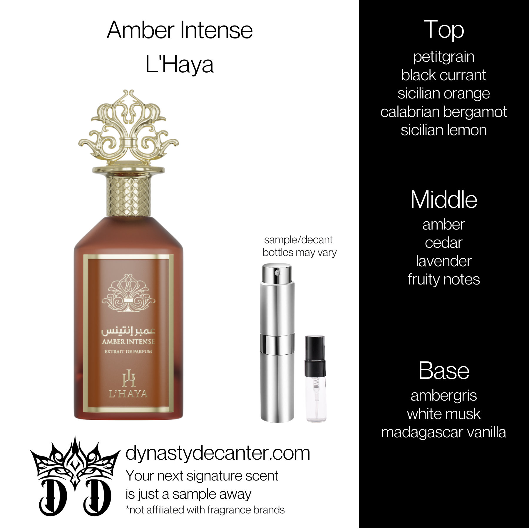 Amber Intense - L'Haya