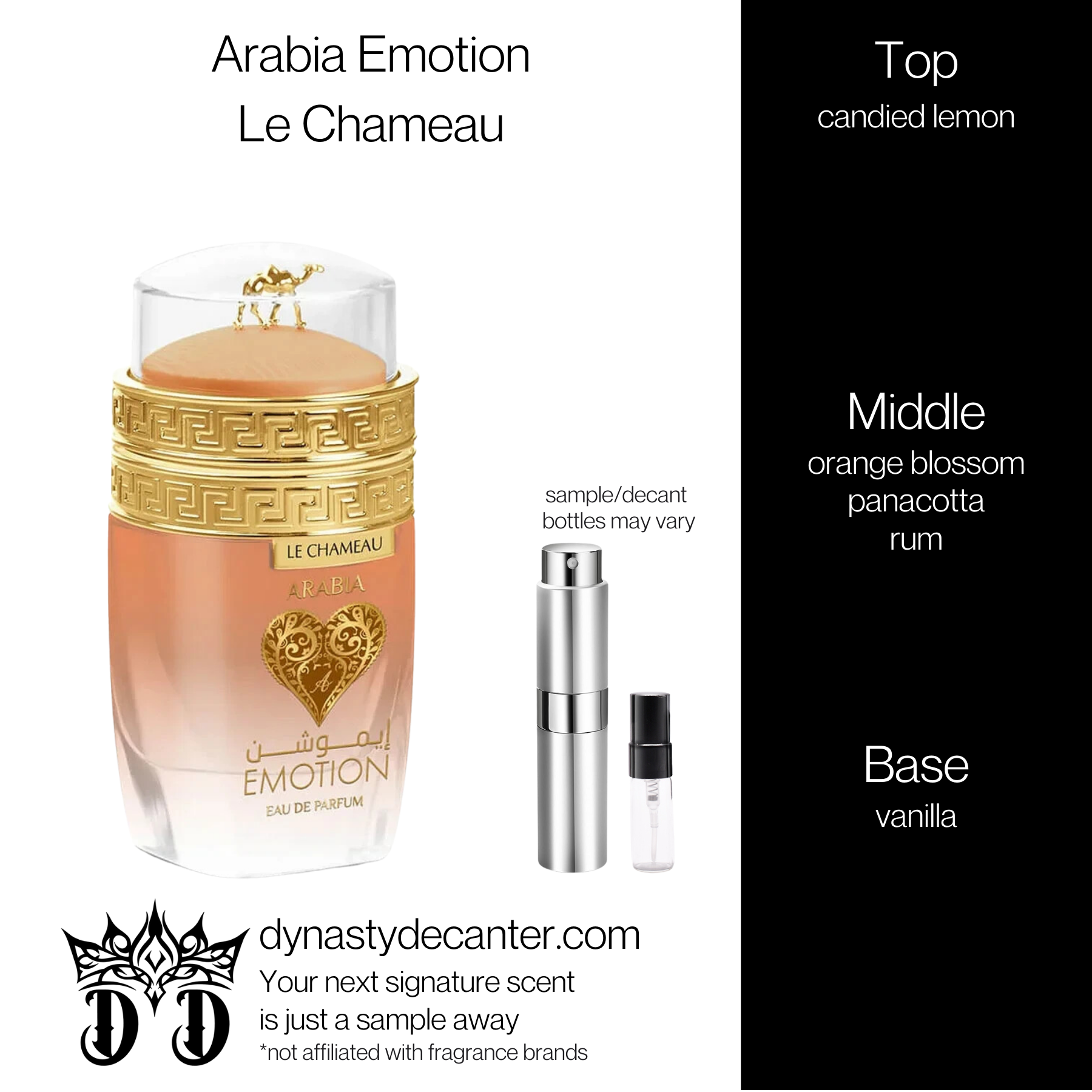 Arabia Emotion - Le Chameau