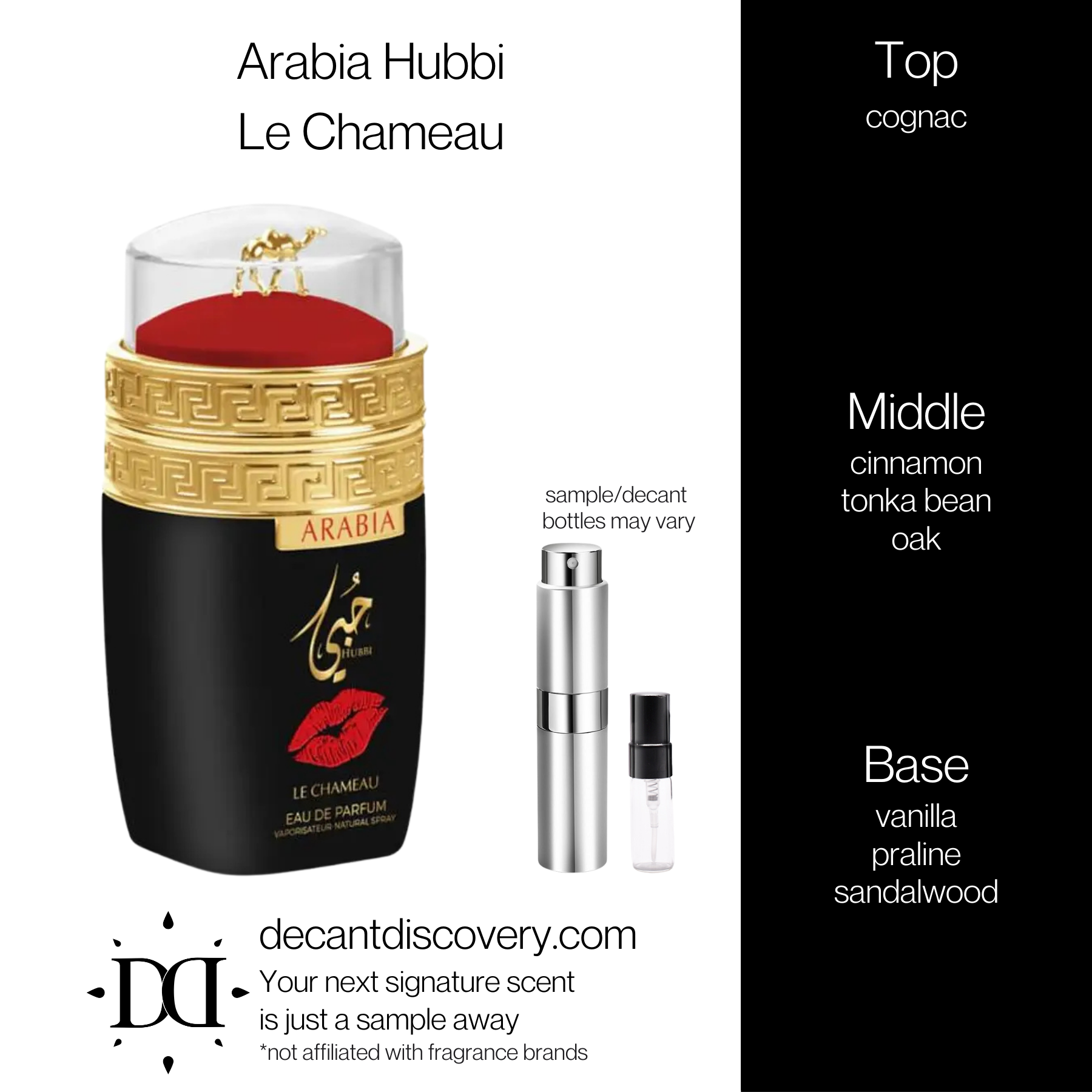 Arabia Hubbi - Le Chameau