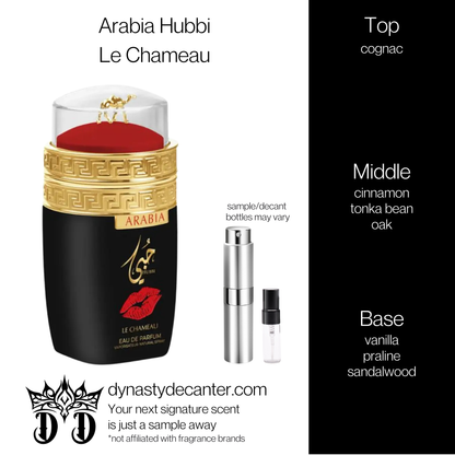 Arabia Hubbi - Le Chameau