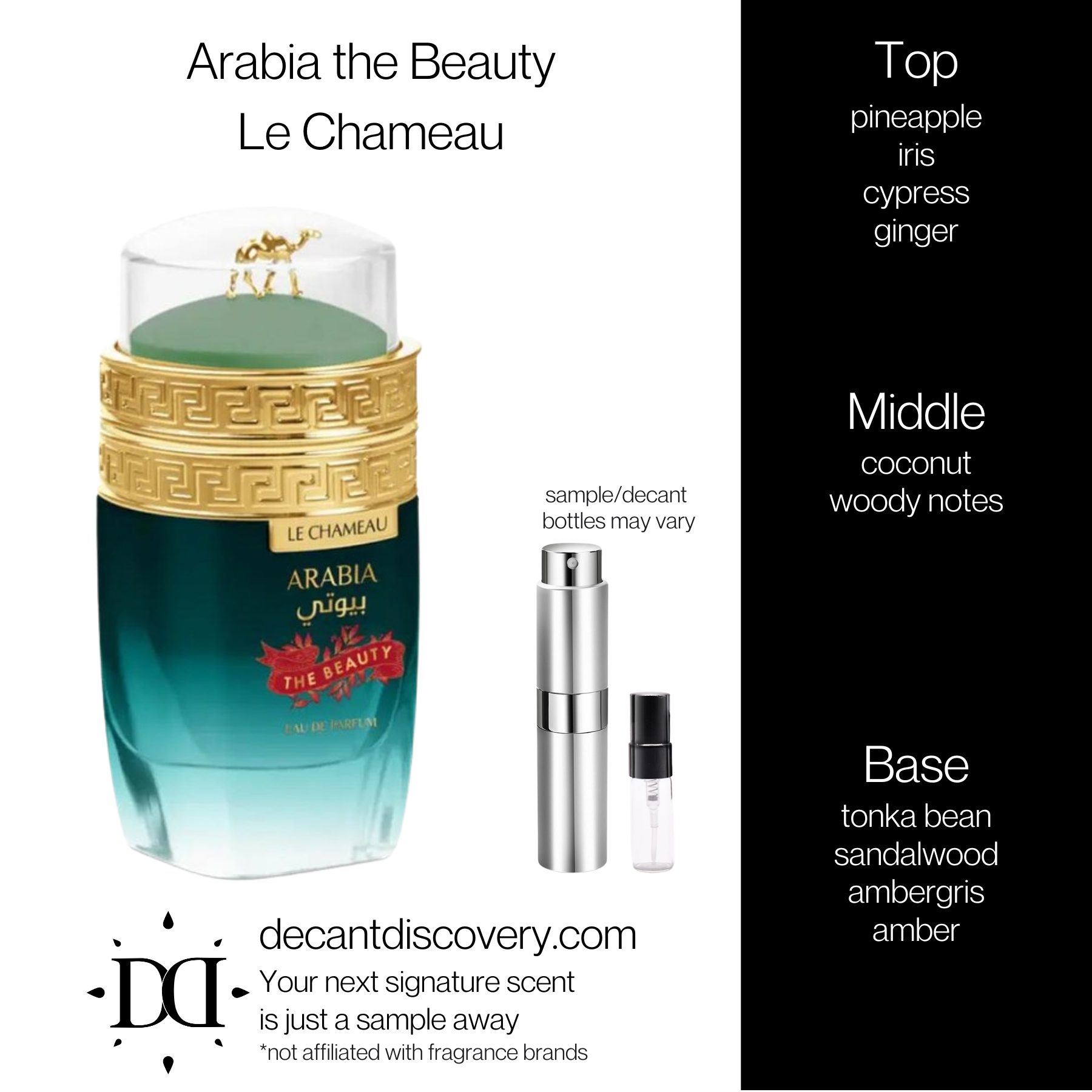 Arabia the Beauty - Le Chameau